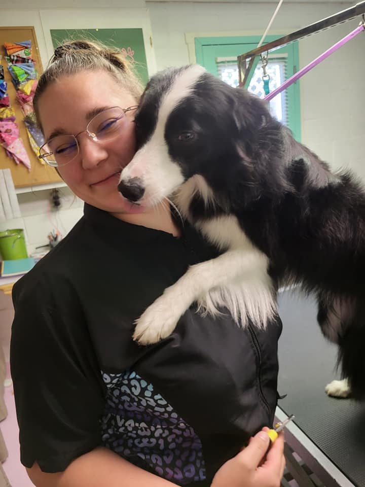 Dog grooming services professional