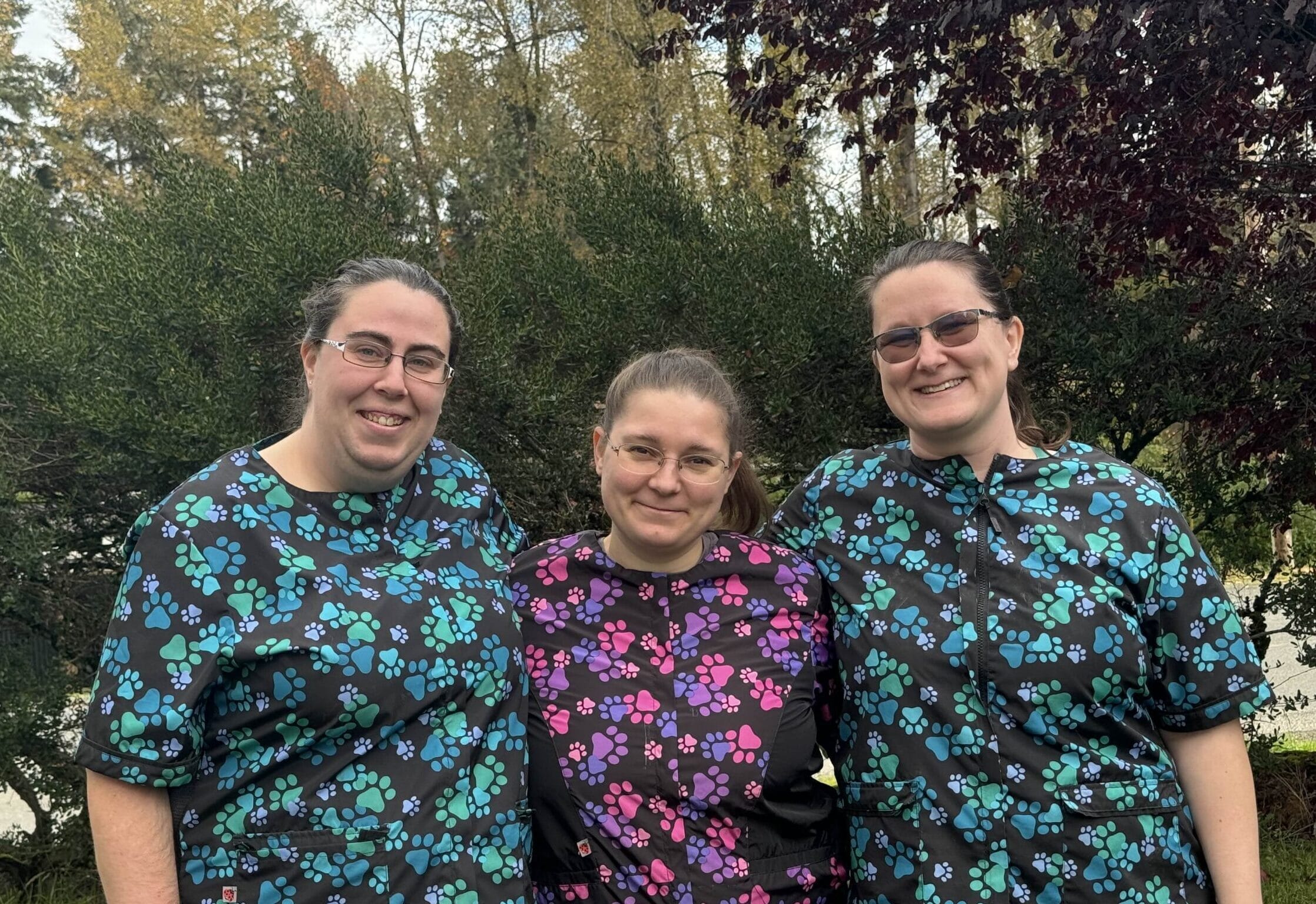 Dog grooming services at Topaws Salon in Cowichan Valley